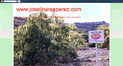 Desktop Screenshot of joselinaresperez.com